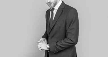 Ofis müdürü. Başarılı iş adamı Grey 'de izole edildi. İşadamı mesleği. İş adamı portresi. Başarılı bir iş. Girişimcinin başarısı. kırpılmış görünüm.