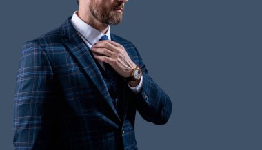 Zaman doldu. Gri üzerine izole edilmiş zarif bir iş adamı. Erkek aksesuarı. Kravatlı bir iş adamı lüks bir saat. Pahalı bir kol saati. Takım elbiseli adam ve saat. Zarif saat aksesuarı. Boşluğu kopyala.