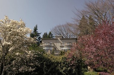 Aile evi. Cennetteki ağaçlar, Şehrin dışında bir bina. Kır evi ya da yazlık ev. Gayrimenkul. Bir ev kirala. Konut sigortası. sigorta kavramı.