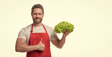 man in apron with lettuce vegetable isolated on white. thumb up.