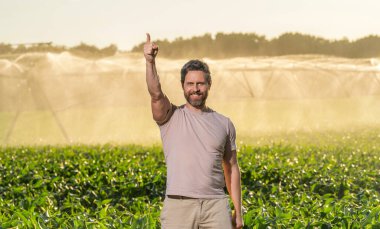 Tarım ve tarım. Sulama sisteminde tarımı sulayan bir adam. Kırsal kesimde bir çiftçi. Su püskürtme sulama tarlası. Damlatma sulama sistemi. Ekin sulama. İşaret parmağı.