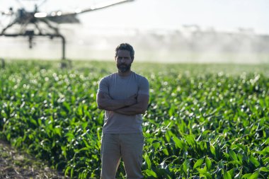 Kırsal kesimde bir çiftçi. Su püskürtme sulama tarlası. Damlatma sulama sistemi. Ekin sulama. Tarım ve tarım. Beyaz adam sulama sisteminde tarımı suluyor..