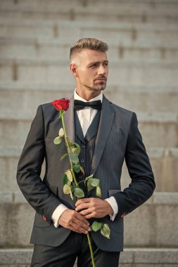 Özel durum konsepti. Özel durumlar için gülü olan kır saçlı bir adam. Smokinli adam özel bir gün için dışarı çıktı..