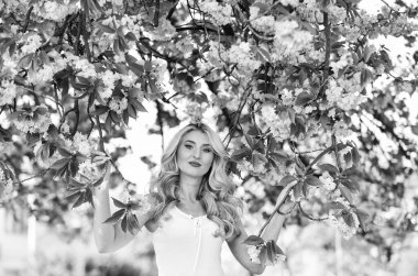 Bahar çiçeği açan ağaç. Kiraz ağacı. Çiçek aroması. Uyum ve kadın enerjisi. Bahar sembolü Çiçeklerin kadınları neden her zaman mutlu ettiğini. Mutlu bahar günleri. Kız bahçede sakura çiçeğinin tadını çıkarıyor..