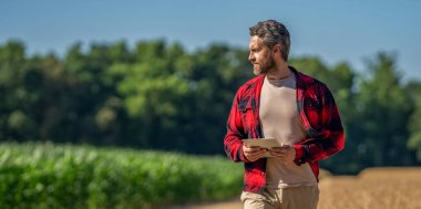 Çiftçi adam tabletle tarlada çalışıyor. Tablet çekli İspanyol çiftçi. Ekin hasadı. Mısır tarlasında tabletli çiftçi tarım uzmanı. Modern tarımın teknolojisi. Pankart reklamı.