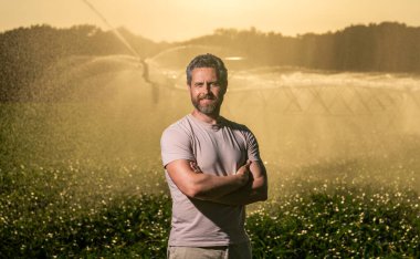 Damlatma sulama sistemi. Gün batımında mahsul sulama. Tarım ve tarım. Sulama sisteminde tarımı sulayan bir adam. Kırsal kesimde bir çiftçi. Su fıskiyesi sulama tarlası.