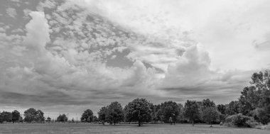 Doğa manzaralı bir park. Açık hava parkındaki çayır ve göl manzarası. Doğa manzarası. Parkın manzaralı manzarası..
