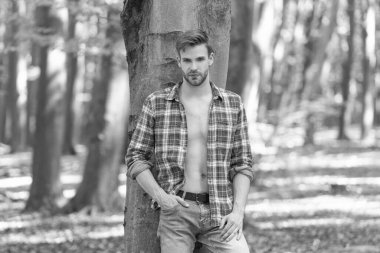 Unshaven lumbersexual man in unbuttoned lumberjack shirt standing at tree forest background.