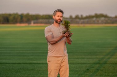 Çevre tarımı ve tarım ürünleri. Sürdürülebilir bir gelecek yetiştirme filizini yetiştir. Tarım mahsulü hasadı. Sahada filizlenen bir adam var. Yeşil ekoloji ve tarım ortamı. Ekin hasadı.