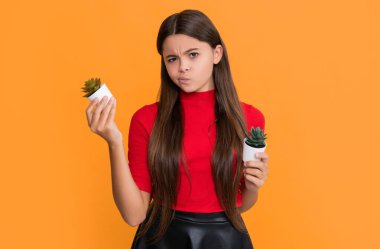 Sarı arka planda kaktüslü üzgün çocuk..