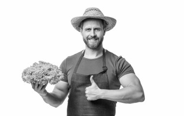 Önlüklü, şapkalı, marullu, beyaz tenli bir adam. başparmak yukarı.