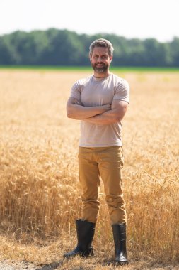 Mutlu çiftçiler buğdayı kontrol eder. Hasat zamanı tarım buğdayı. Kırsal kesim. Tarlada hasat yapan çiftçi adam. Olgun tarım. Sahadaki hasatçıyı. Çiftçi tarım uzmanı. Ekin hasadı.