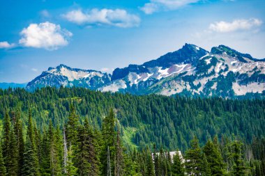 Dağlı orman doğası. Dağ kırsalında doğa. Dağ manzaralı bir yer. Manzara kozalaklı orman. Ormanlı çam ağacı dağı manzarası. Dağ manzarası. Seyahat hedefi.