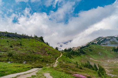 Çayırlı dağ manzarası. Bulutlu gökyüzü ile dağlık bir manzara. Yeşil Tepe Dağı manzaralı. Seyahat güzergahı. Kozalaklı orman ve yeşil yamaçlarla vahşi dağlarda nefes kesici bir yaz günü..
