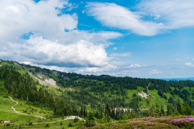 Yeşil Tepe Dağı manzaralı. Kozalaklı ağaç ve yeşil yamaçlı vahşi dağda huzurlu bir yaz günü. Çayırlı dağ manzarası. Bulutlu gökyüzü ile dağlık bir manzara. Gezgin şehvet ve macera.