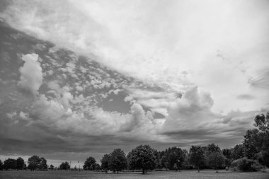 Doğanın manzarası. Park halindeki doğanın manzarası. Doğa manzaralı park yeri. Açık hava parkında manzara çayırı ve göl. Doğal güzellik..