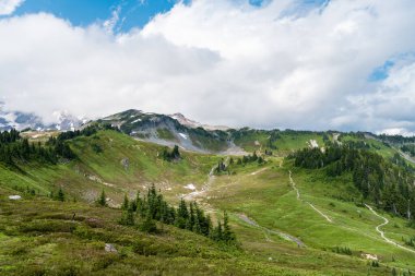 Kozalaklı orman ve yeşil yamaçlarla vahşi dağda nefes kesici bir yaz günü. Çayırlı dağ manzarası. Bulutlu gökyüzü ile dağlık bir manzara. Manzaralı yeşil tepe.