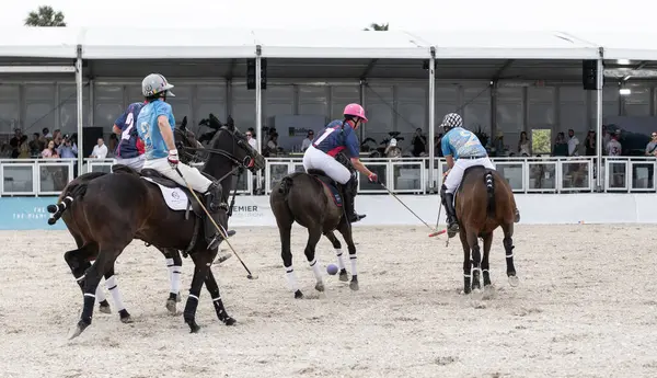Miami Plajı, ABD-17 Kasım. 2024: Polo oyuncuları Dünya Polo Ligi Plajı 'nda oynuyorlar. Miami Beach, FL 'deki atların polo oyuncuları.