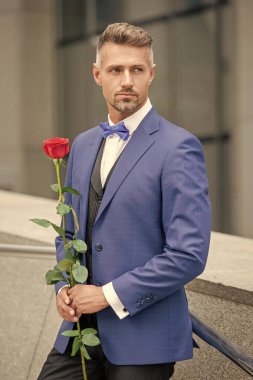 valentines day concept. grizzled tuxedo man with valentines rose. flower gift for valentines day.