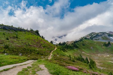 Bulutlu gökyüzü ile dağlık bir manzara. Yeşil Tepe Dağı manzaralı. Vahşi dağda, kozalaklı orman ve yeşil yamaçlı resimli bir yaz günü. Çayırlı dağ manzarası, Alpler.