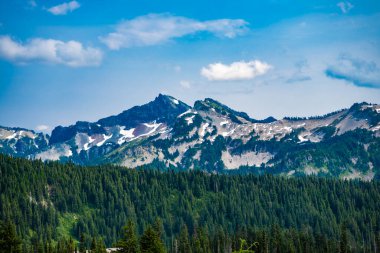 Dağ manzarası. Dağlı orman doğası. Dağ kırsalında doğa. Dağ manzaralı bir yer. Manzara kozalaklı orman. Çam ağacı ve ormanlı dağ manzarası.