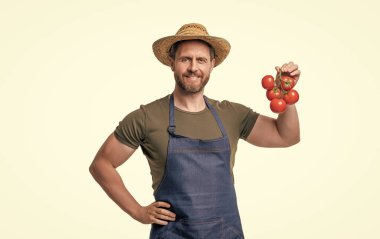 Önlüklü, şapkalı, domatesli bir bahçıvan..