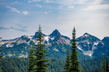 Dağlı orman doğası. Dağ kırsalında doğa. Dağ manzaralı bir yer. Manzara kozalaklı orman. Ormanlı çam ağacı dağı manzarası. Dağ manzarası. Seyahat hedefi.