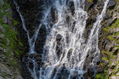 Myrtle şelale rotasını takip ediyor. Rainier Dağı ulusal park dağ doğa manzarası. Şelale manzarası. Doğa seyahati. Şelale seyahati.