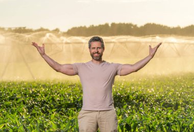 Ekin sulama. Tarım ve tarım. Sulama sisteminde tarımı sulayan bir adam. Çiftçi adam kırsalında. Su püskürtme sulama tarlası. Damlatma sulama sistemi. Ekin ekimi.