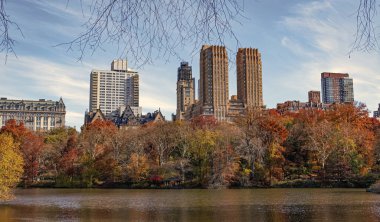 - New York. New York. Central Park Doğa Arazisi. Central Park 'ta sonbahar sezonu. Sonbahar mevsiminde mevsimlik şehir manzarası. Doğanın sonbahar güzelliği. Şehir parkında doğa. Parkta sonbahar manzarası