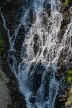 Rainier Dağı ulusal park dağ doğa manzarası. Şelale manzarası. Doğa seyahati. Şelale yolu. Resimli şelale. Myrtle şelale yoluna düştü..
