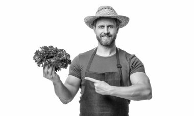 Önlüklü, şapkalı, marullu, beyaz tenli bir adam. işaret parmağı.