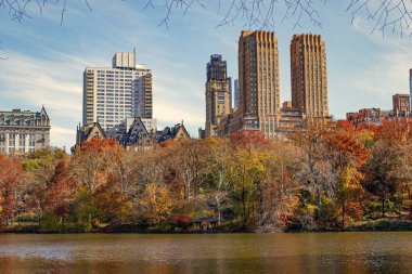 New York düşüşü. New York 'ta sonbahar. Sonbahar mevsiminde mevsimlik şehir manzarası. Doğanın sonbahar güzelliği. Şehir parkında doğa. Parkta sonbahar manzarası. Sonbahar manzarası. Doğa sonbahar manzarası.