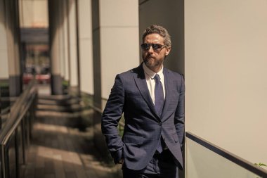 Girişimcinin başarısı. Ofis müdürü. İş yerindeki kendine güvenen iş adamı. Yeni hedefler. İş vizyonu ve liderlik. Takım elbiseli bir iş adamı. Patron iş adamı. Reklam..