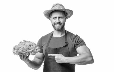 Önlüklü, şapkalı, marullu, beyaz tenli bir adam. işaret parmağı.