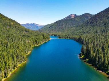 Cooper Gölü 'nün dağ ve orman manzarası. Doğa manzarası. Washington 'daki Cooper Gölü. Cooper Gölü 'nün popüler doğa yürüyüşü. Cooper gölü ve dağ manzarası. Görkemli dağlar.