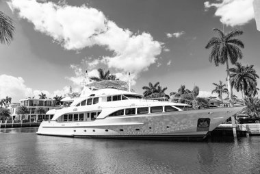 Varış noktası. Deniz kenarındaki yaz mevsiminde yatı olan bir liman. Limanda teknesi ve palmiyesi olan bir deniz kenarı varış yeri. Sahil limanı yaz için mükemmel bir yer. Tekne gezisi.