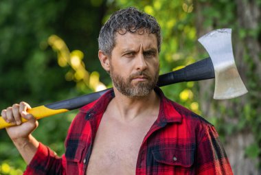 Acımasız oduncu. Vahşilik ve erkeklik. İspanyol adam baltayla kütük kesiyor. Oduncu baltası. Ağaç kesen baltalı adam. Çalışkan, acımasız adam. Keresteci adam dışarıda. Sakallı oduncu.