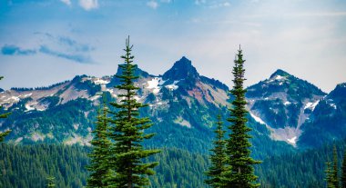 Dağ manzarası. Dağlı orman doğası. Dağ kırsalında doğa. Dağ manzaralı bir yer. Manzara kozalaklı orman. Çam ağacı ve ormanlı dağ manzarası.