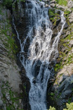 Şelale manzarası. Doğa seyahati. Şelale yolu. Seyahat güzergahı. Myrtle şelale rotasını takip ediyor. Rainier Dağı ulusal park dağ doğa manzarası.