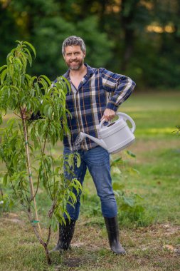 Şeftali ağacı suluyorum. Ağaç dikiyorum. Bahçecilik ve meyve bahçesi. Ağaç dikmek için tohumlama. Bahçıvan bahçıvanlık. Baharda bahçıvan. Bahçesinde sulama kutusu olan bir adam. Doğa konsepti.
