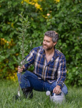 Orman ekiyorum. Bahçesinde sulama kutusu olan bir adam. Sulama ağacı. Ağaç dikiyorum. Bahçecilik ve meyve bahçesi. Ağaç dikmek için tohumlama. Bahçıvan bahçıvanlık. Baharda bahçıvan.