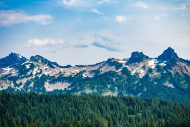 Dağ manzaralı bir yer. Manzara kozalaklı orman. Çam ağacı ve dağ orman manzarası. Dağ manzarası. Orman Doğa Dağı. Dağ kırsalında doğa. Nefes kesici vahşi doğa..
