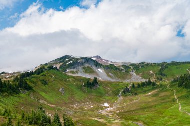 Bulutlu gökyüzü ile dağlık bir manzara. Yeşil Tepe Dağı manzaralı. Vahşi dağda, kozalaklı orman ve yeşil yamaçlı resimli bir yaz günü. Çayırlı dağ manzarası, Alpler.