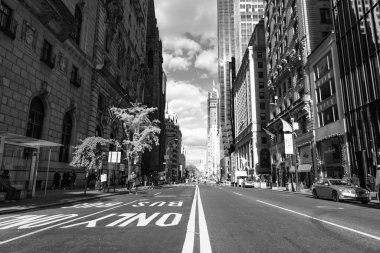 New York City, ABD - 11 Kasım 2023: New York sokak yolu Sadece kırmızı renkli otobüs kuyruğu.