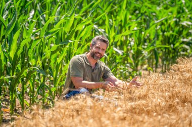 Yaz çiftçiliği. Ekin tarlasında hasat yapan adam. Sahadaki hasatçıyı. Arazi ve tarım. Mısır tarlasında çiftçi. Hasat mahsulü. Mısır tarlası çiftçisi. Tarımsal mısır tarlası hasat mevsimi.