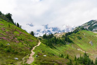 Yeşil Tepe Dağı manzaralı. Kozalaklı ağaç ve yeşil yamaçlı vahşi dağda huzurlu bir yaz günü. Çayırlı dağ manzarası. Bulutlu gökyüzü ile dağlık bir manzara. Gezgin şehvet ve macera.