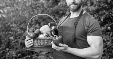 positive child hold fresh grapes bunch on yellow background.