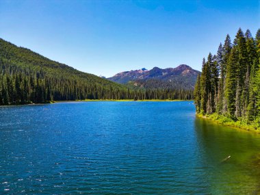 Cooper Gölü 'nün dağ ve orman manzarası. Doğa manzarası. Washington 'daki Cooper Gölü. Cooper Gölü 'nün popüler doğa yürüyüşü. Cooper gölü ve dağ manzarası. Saf doğa..