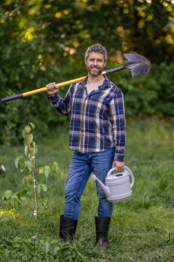 Bahar çiftliğindeki çiftçi. İnsan kürekle ağaç diker. Bahçe aleti. Bitki ekme ve yetiştirme. Bahar çiftçiliği. Ağaç dikiyorum. Bahçıvanlık ve tarım. Kürekli İspanyol bir çiftçi. Doğa konsepti.